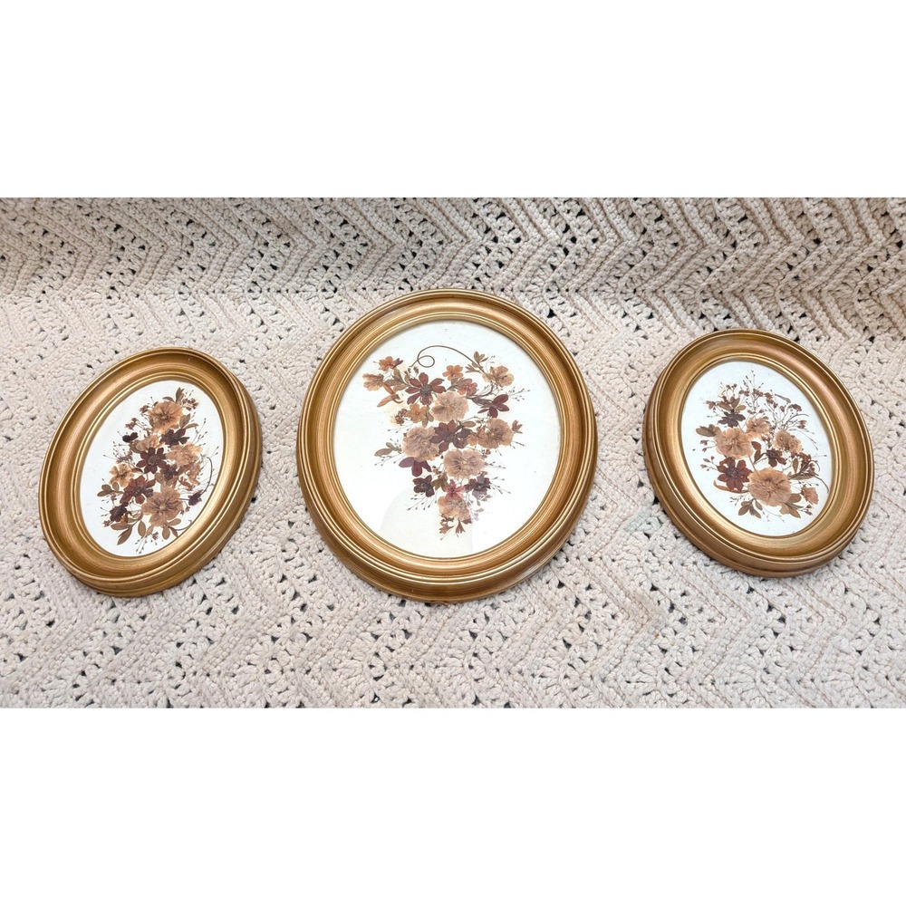 Vintage Gold Oval Pressed Dried Flower Wall Art Set 3 Botanical Cottagecore